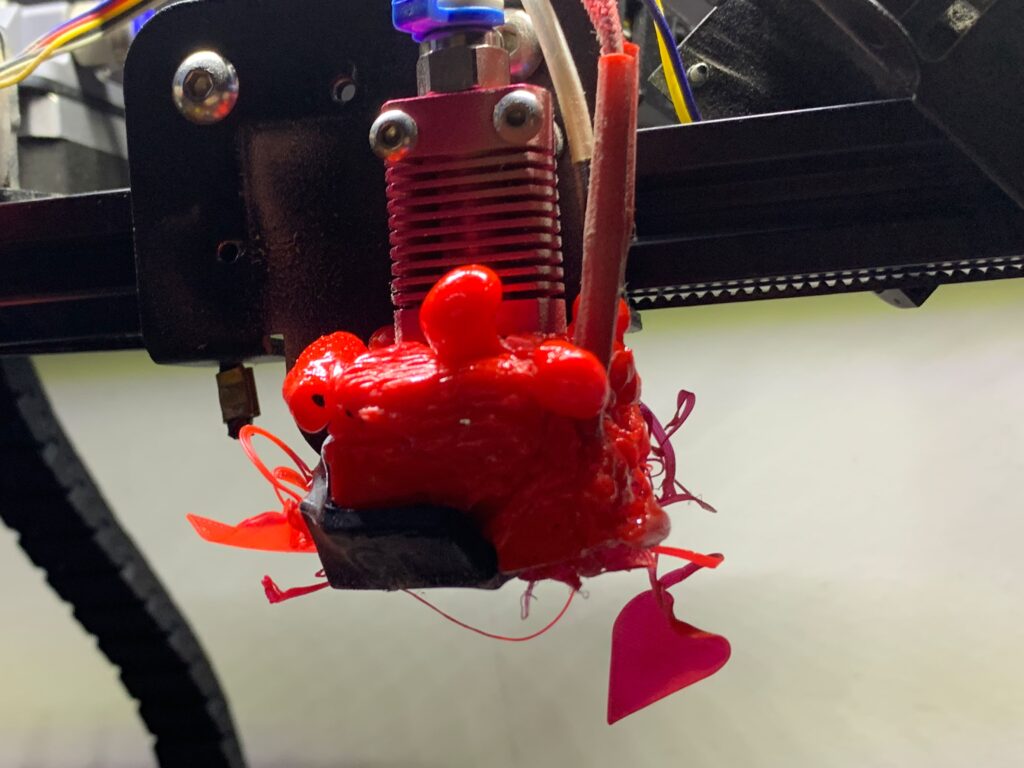 Managelia 3d Print fail
